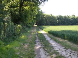 DSCN0104.JPG
